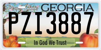 GA license plate PZI3887
