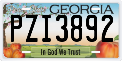 GA license plate PZI3892
