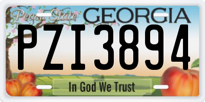 GA license plate PZI3894