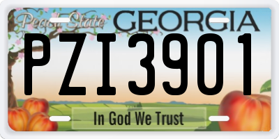 GA license plate PZI3901