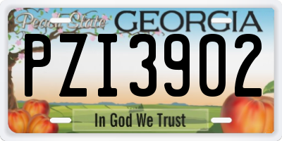 GA license plate PZI3902