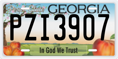 GA license plate PZI3907