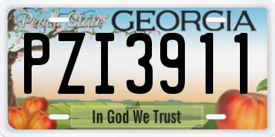 GA license plate PZI3911