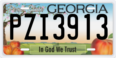 GA license plate PZI3913