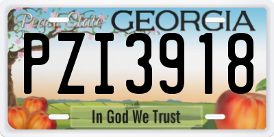GA license plate PZI3918
