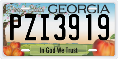 GA license plate PZI3919