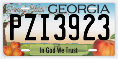 GA license plate PZI3923