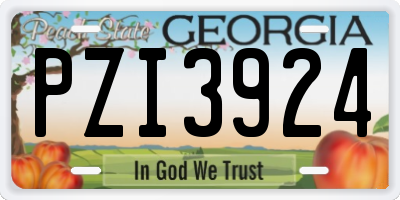 GA license plate PZI3924