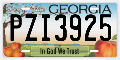 GA license plate PZI3925