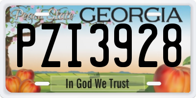 GA license plate PZI3928