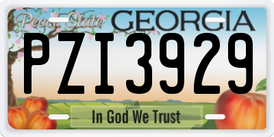 GA license plate PZI3929