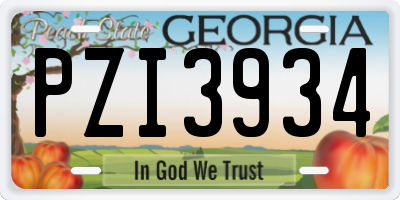 GA license plate PZI3934