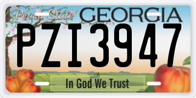 GA license plate PZI3947