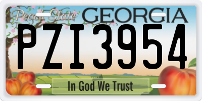 GA license plate PZI3954