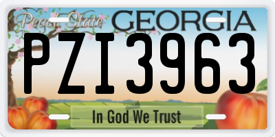 GA license plate PZI3963