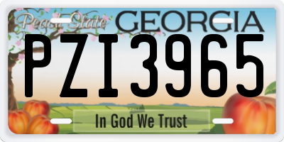 GA license plate PZI3965