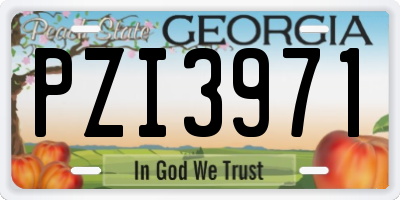 GA license plate PZI3971