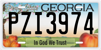 GA license plate PZI3974