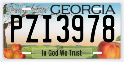 GA license plate PZI3978