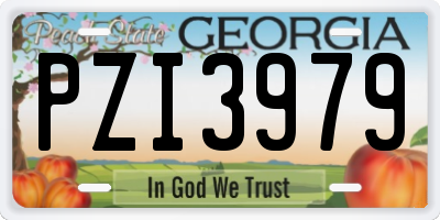 GA license plate PZI3979