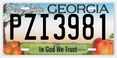 GA license plate PZI3981