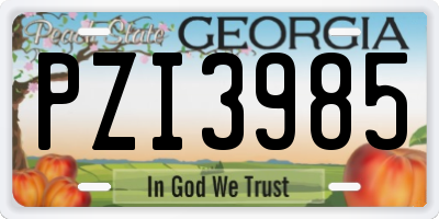 GA license plate PZI3985
