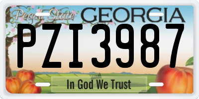 GA license plate PZI3987