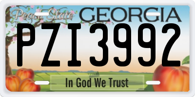 GA license plate PZI3992