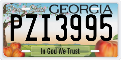 GA license plate PZI3995
