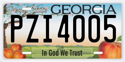 GA license plate PZI4005