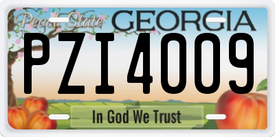 GA license plate PZI4009