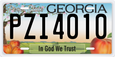 GA license plate PZI4010