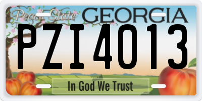 GA license plate PZI4013
