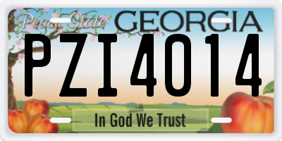 GA license plate PZI4014