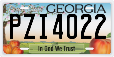GA license plate PZI4022