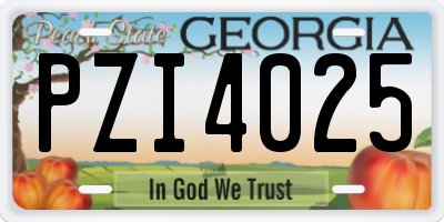 GA license plate PZI4025