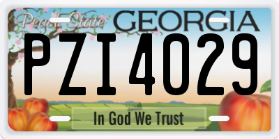 GA license plate PZI4029