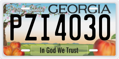 GA license plate PZI4030