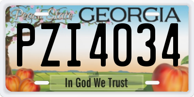 GA license plate PZI4034