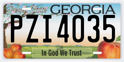 GA license plate PZI4035