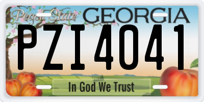 GA license plate PZI4041