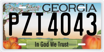GA license plate PZI4043