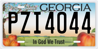 GA license plate PZI4044
