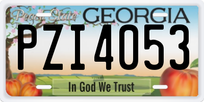 GA license plate PZI4053