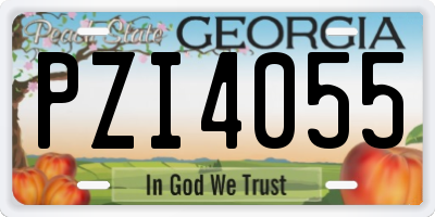 GA license plate PZI4055