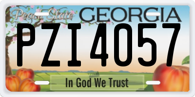 GA license plate PZI4057
