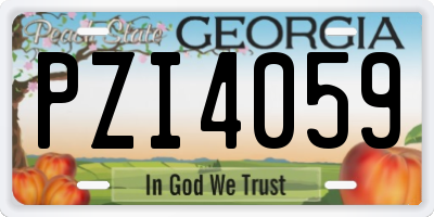 GA license plate PZI4059