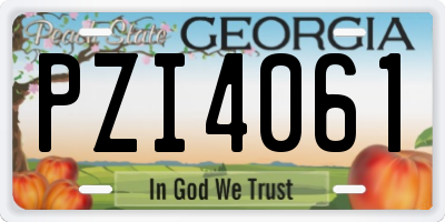 GA license plate PZI4061