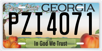 GA license plate PZI4071