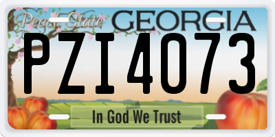 GA license plate PZI4073